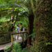 Wildlife Tours Australia: 1 Day Great Ocean Road + Rainforest Walk Tour