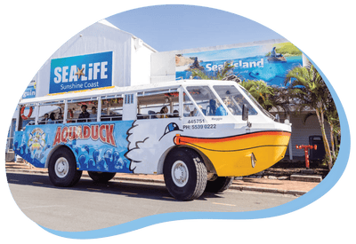 Aquaduck Sunshine Coast - We Wander