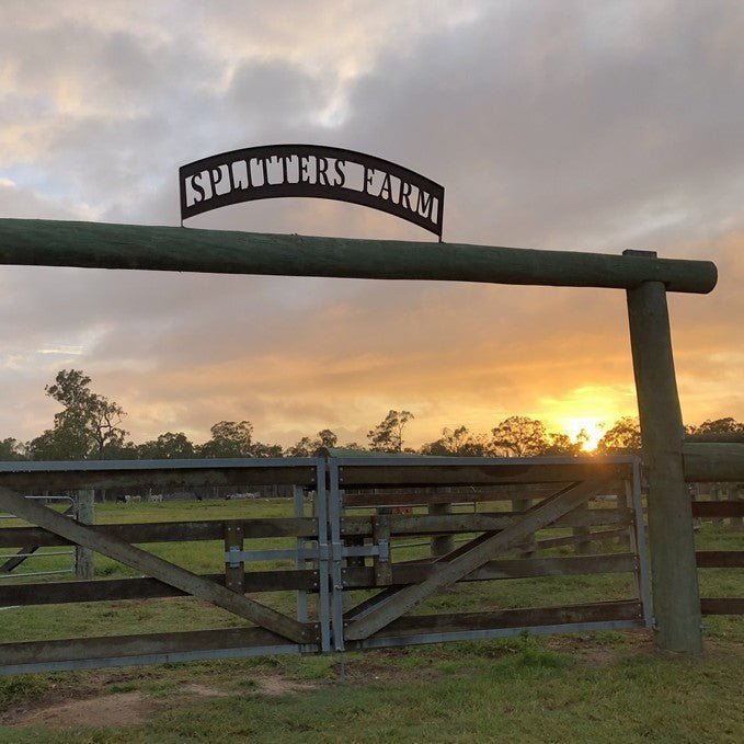 Farm Tour And Picnic Lunch At Splitters Farm - We Wander