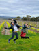 Mclaren Vale Full Day Wine Tour - We Wander