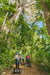 Segway Rainforest Discovery Tour - We Wander