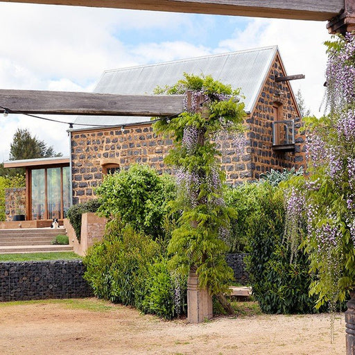 Winery & Tasting Experience - We Wander