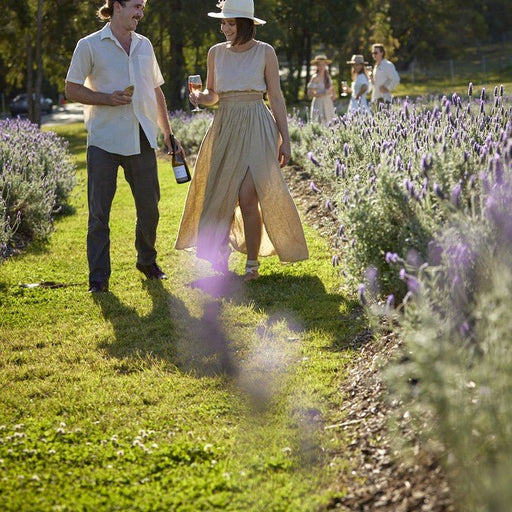 Winery Tour And Tasting With Cheese Platter With A Glass Of Wine At Sirromet - We Wander